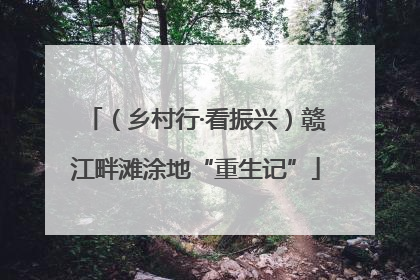 （乡村行·看振兴）赣江畔滩涂地“重生记”